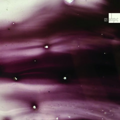 premiere: Sublee - Atipic 020 [Atipic]