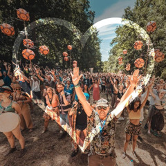 In Celebration of Noisily Festival