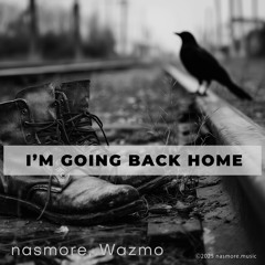 I'm Going Back Home