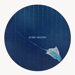 primer minister - deluxe
