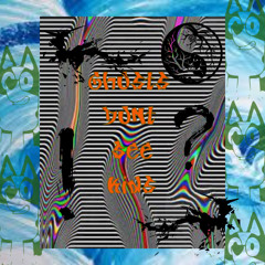 Lambo truck go Skrrrrt (Feat. Tmy.T.Trtl)