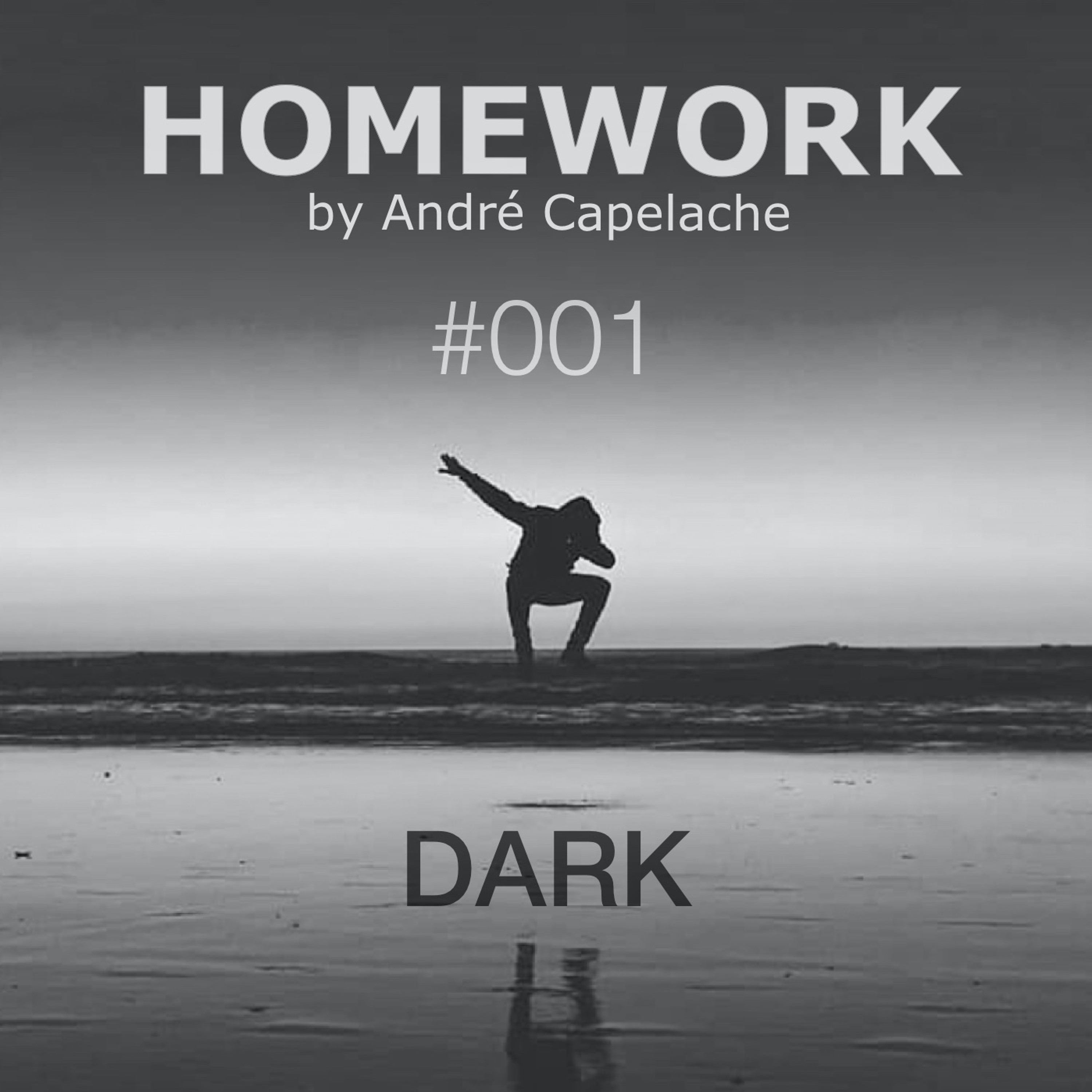 André Capelache HOMEWORK