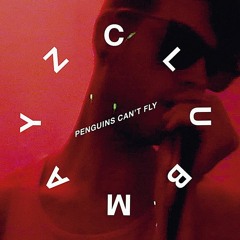 PREMIERE: Club Mayz - Penguins Can't Fly [Ca$hminus Music]