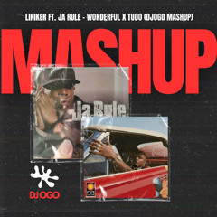 Liniker ft. Ja Rule - Wonderful X Tudo (DJOGO Mashup)
