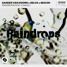 Sander Van Doorn X Selva X Macon - Raindrops (Reexy Remix)