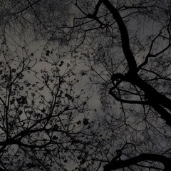 DJ Тарас Шевченко - Не рубай тополю