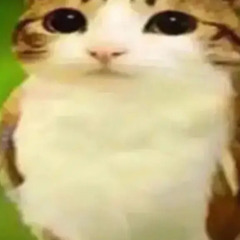 FULL OFFENSE (bro) feat lil nitequill prod st.deon