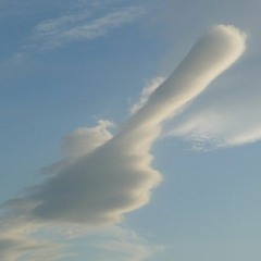 A FINGER OF CLOUD