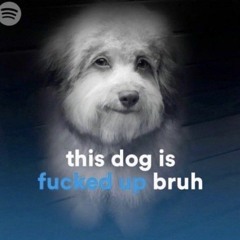 a Unique playlist