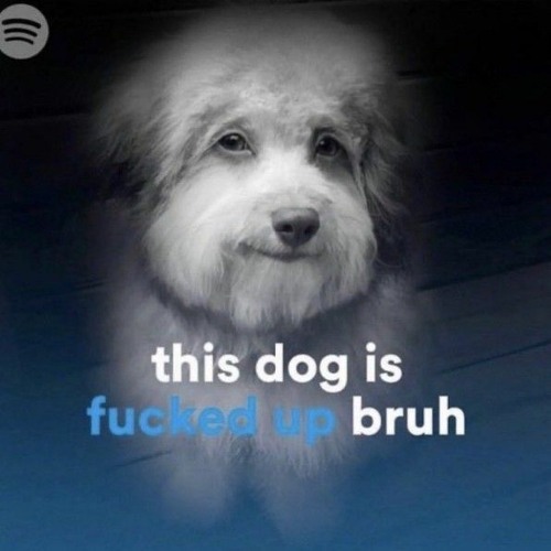 a Unique playlist