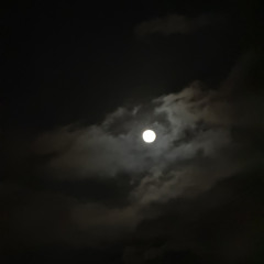 in the storm w/ shady moon & astrus