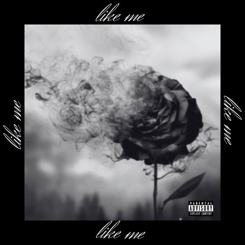 RyxnNick x JT.Wain - LIKE ME