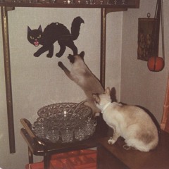 The Horizon Broadening Hour #24