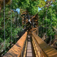 Best Unique Things To Do In Venice Florida Tours Reviews