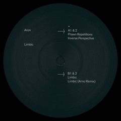 A2 Aron - Inverse Perspective