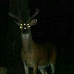 Mag.lo - Team - But there's more of the best part