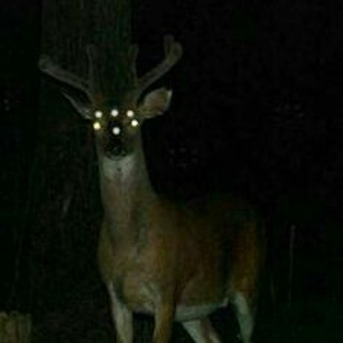 Mag.lo - Team - But there's more of the best part