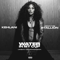 Water In My Cup (JAYBeatz & UDM Archive Mashup)