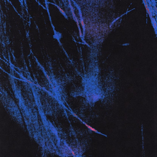 AllUpOnMe (prod. practicxl)