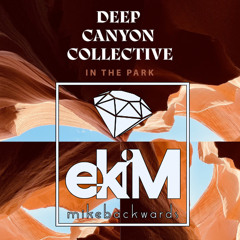 08.10.25_Deep Canyon Collective_In The Park_Live Mix