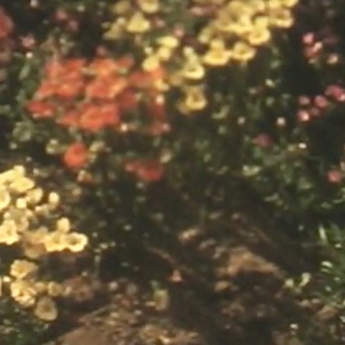 song 1