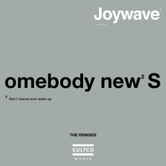 Somebody New (Howson's Groove Remix)