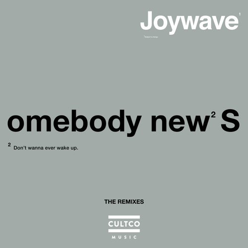 Somebody New (Howson's Groove Remix)