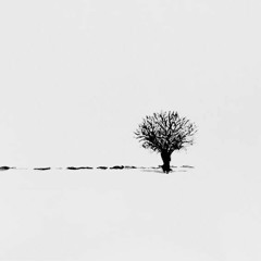 BETTER OFF ALONE