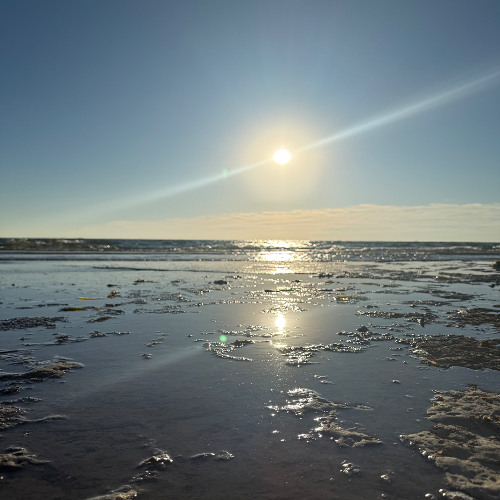 Flamingosis x Easy Mac - Make me late for breakfast x Mackin Aint Easy iTFiTZ