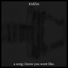 KidZin - a song I know you wont like.