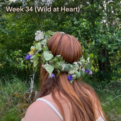 Week 34 (Wild At Heart)