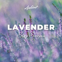 Sleep Surgeon - Lavender