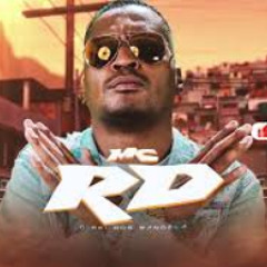 BODE SEM PLACA - MC RD (Maax Deejay & DJ Guh Mix)