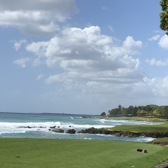 Cornfield Dreams (Acoustic)