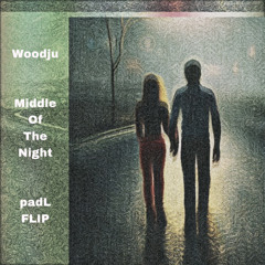 Woodju - Middle Of The Night (padL Flip 170BPM)