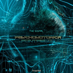 Psychomotorica,Pointfield - The Signal