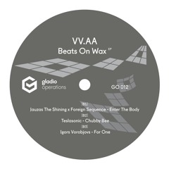 B2. Teslasonic - Chubby Bee