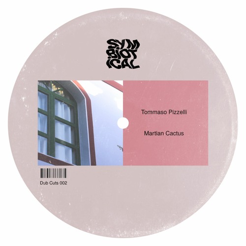 Premiere : Tommaso Pizzelli - Parallel Universe (Dub Cuts 002)