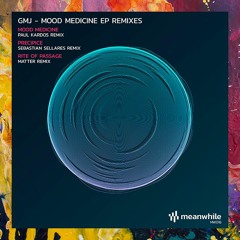 PREMIERE: GMJ — Precipice (Sebastian Sellares Remix) [Meanwhile]
