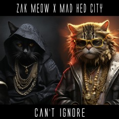 {Premiere} Zak Meow X Mad Hed City - Can't Ignore