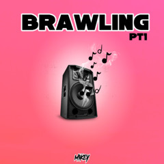 BRAWLING PT1 - Ft Mikeyboss