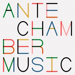 [PREMIERE] Accidental Records Compilation - Dominic Voz - 'City Currach' Feat. Jonathan Sielaff