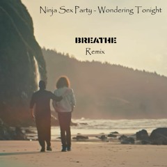 Wondering Tonight (l3REATHE Remix) - Ninja Sex Party