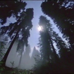 第二十四回月光儀式