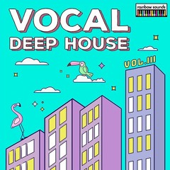 Rainbow Sounds - Vocal Deep House Vol.3