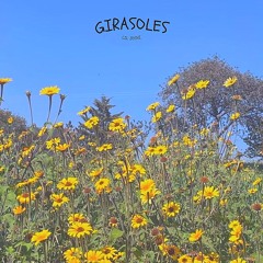 Girasoles