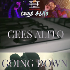 cees alito - Going Down