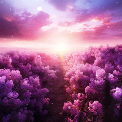 witch house dark wave wednesday morning