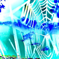 web of lies