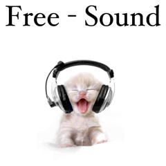 Free Fall Sound Check 1